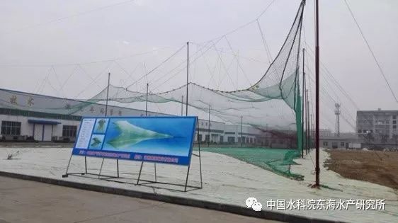 十二五农村领域国家科技计划课题_农村科技进步_农业农村科技创新专项规划