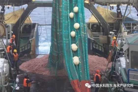 十二五农村领域国家科技计划课题_农村科技进步_农业农村科技创新专项规划