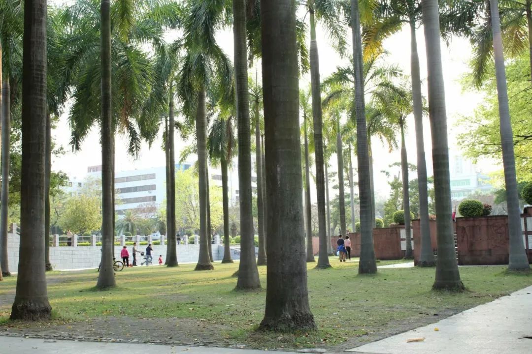 华南师范大学继续教育合作机构_华南师范大学南海学院招生网_华南师范大学南海校区继续教育学院