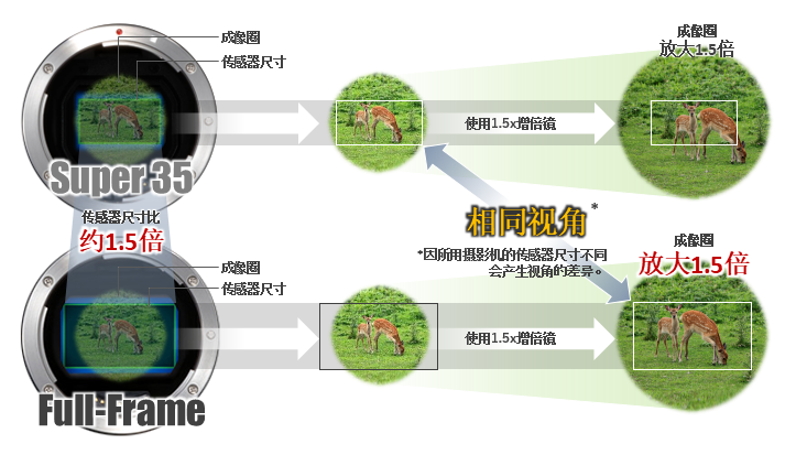 佳能拆机镜头_佳能拆机镜头什么意思_佳能拆机镜头怎么注册