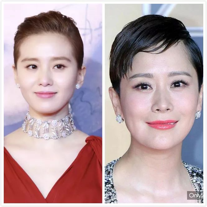修剪金毛美容视频_金毛犬专业修剪视频_金毛修剪造型视频教程