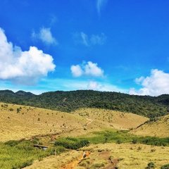 斯里兰卡自由行旅游攻略_斯里兰卡旅游攻略_斯里兰卡旅游胜地