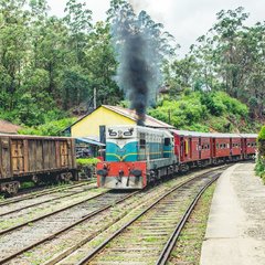 斯里兰卡旅游胜地_斯里兰卡自由行旅游攻略_斯里兰卡旅游攻略