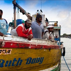斯里兰卡自由行旅游攻略_斯里兰卡旅游胜地_斯里兰卡旅游攻略