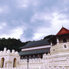 斯里兰卡旅游胜地_斯里兰卡自由行旅游攻略_斯里兰卡旅游攻略