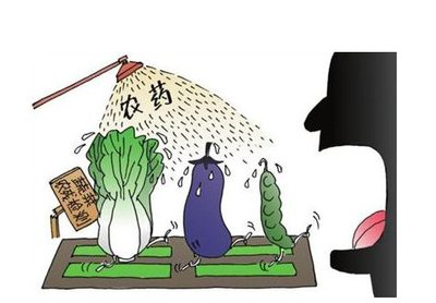 食品知识安全相关书籍_食品安全相关知识_食品知识安全相关法律法规