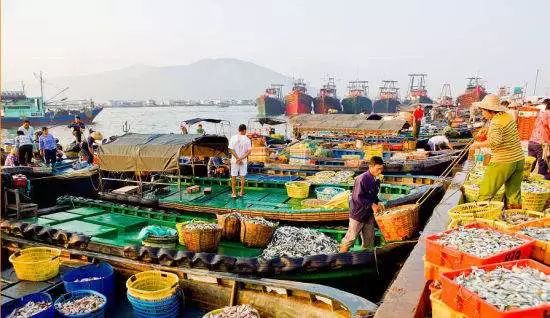 丹东东港海鲜批发市场_丹东东港海鲜批发价格表_海鲜批发丹东东港市场在哪