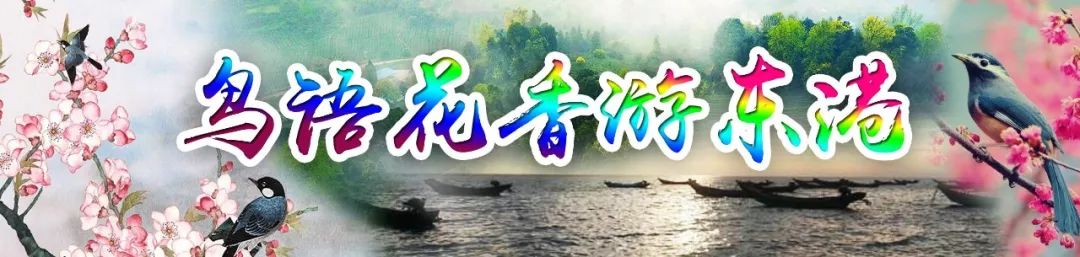 丹东东港海鲜批发市场_海鲜批发丹东东港市场在哪_丹东东港海鲜批发价格表