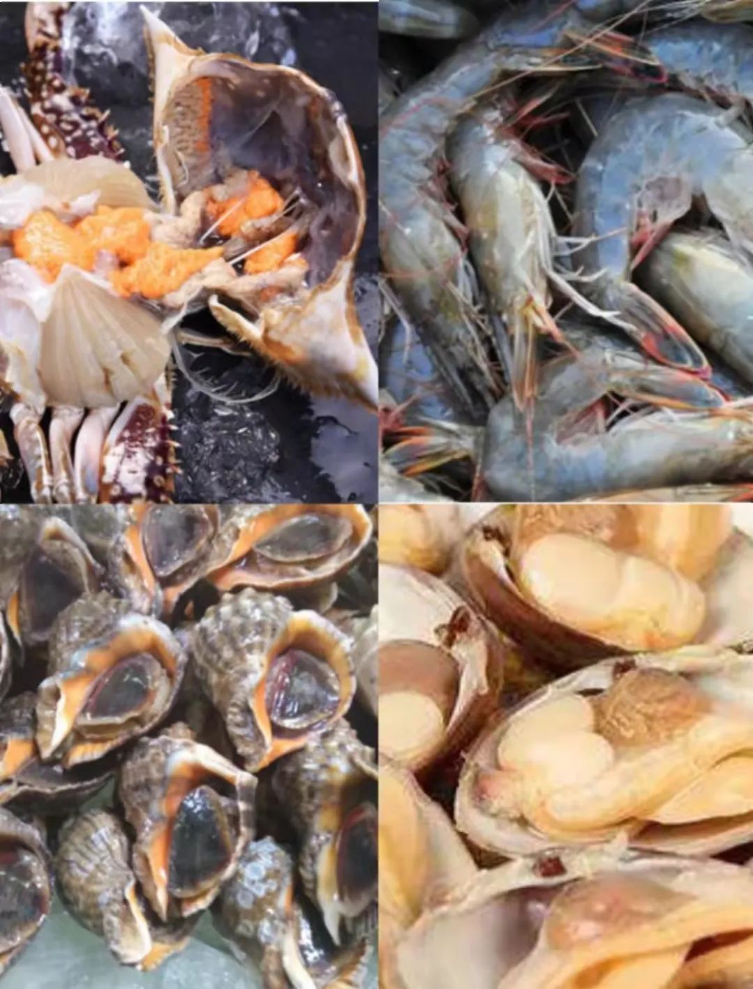 丹东东港海鲜批发市场_丹东东港海鲜批发价格表_海鲜批发丹东东港市场在哪