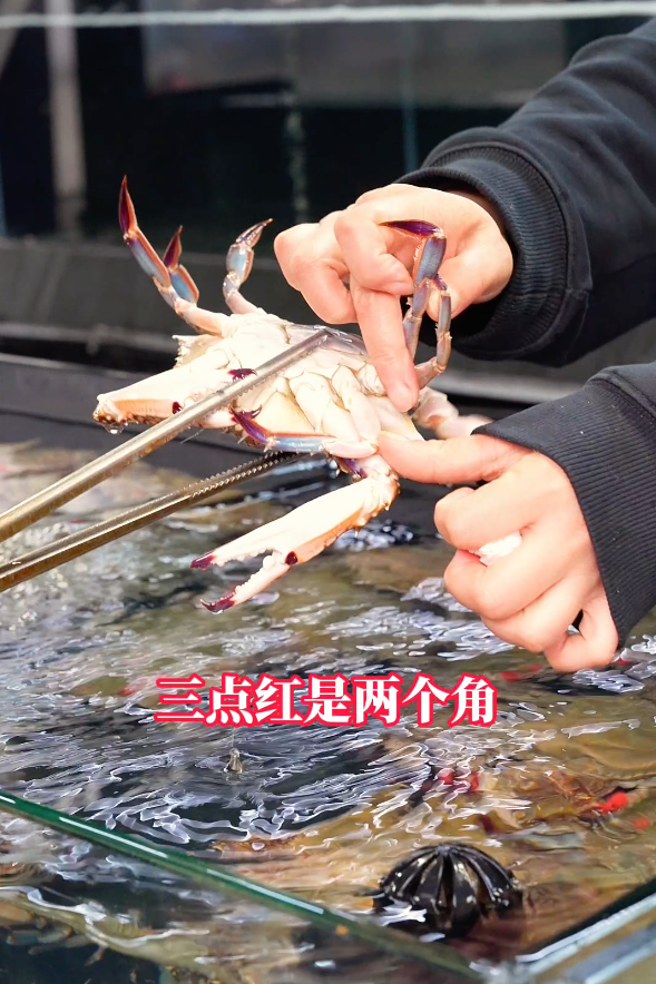 海鲜批发丹东东港市场电话_丹东东港海鲜批发市场_丹东东港海鲜批发价格表