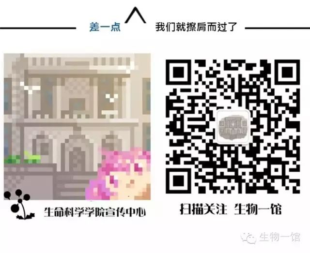 死飞自行车要打气吗_自行车打气打到什么程度_自行车打气利用什么原理