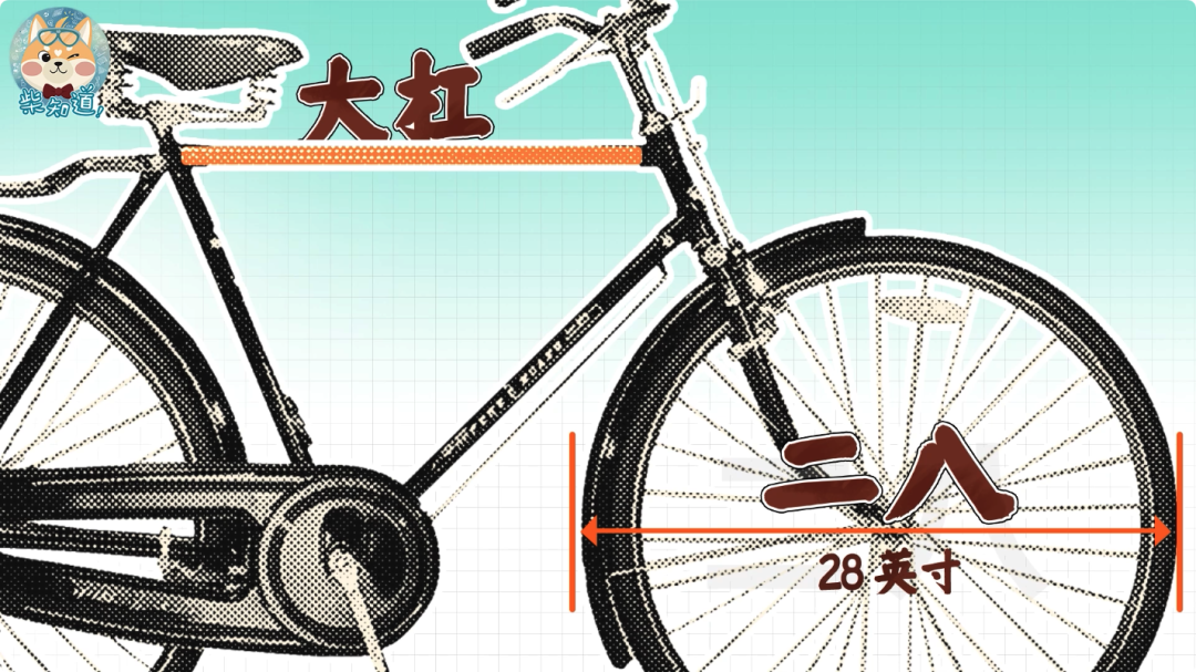 死飞自行车要打气吗_自行车打气打到什么程度_自行车打气大多数