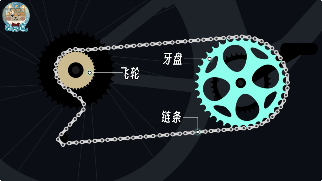 自行车打气打到什么程度_自行车打气大多数_死飞自行车要打气吗