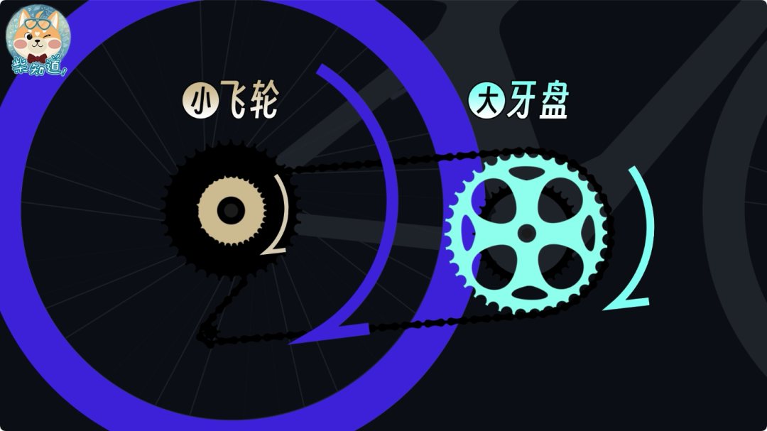 自行车打气大多数_死飞自行车要打气吗_自行车打气打到什么程度