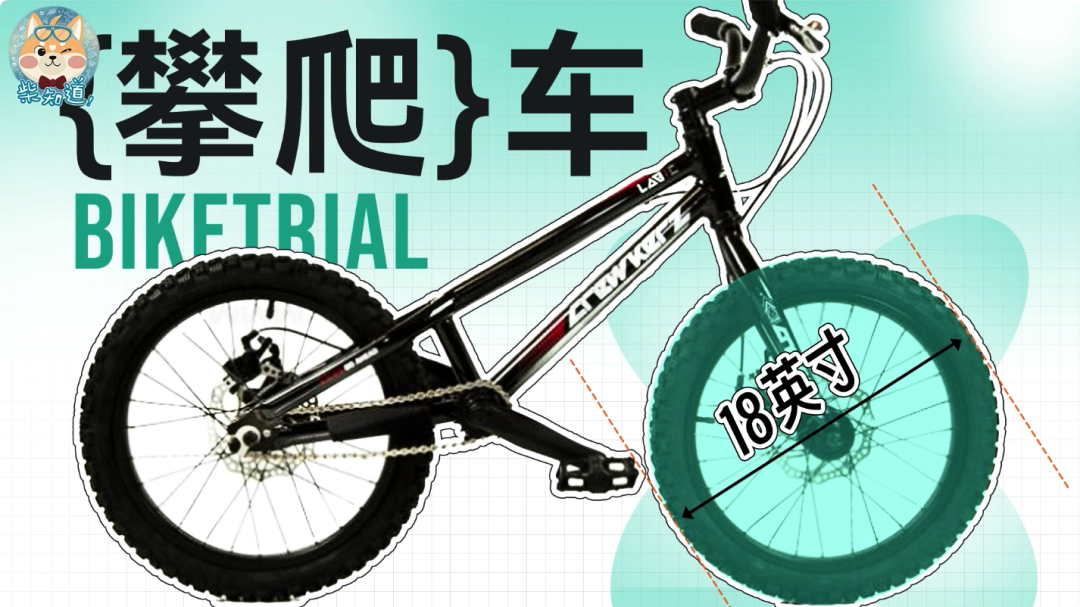 自行车打气大多数_死飞自行车要打气吗_自行车打气打到什么程度
