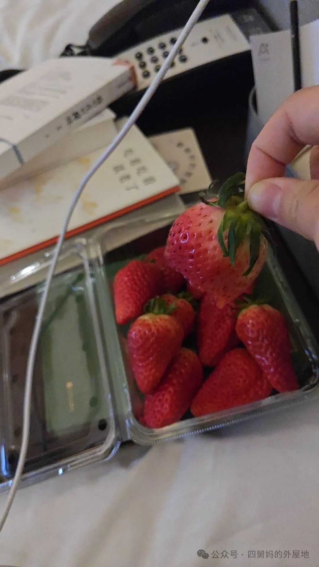 鲁菜香菜茄子视频_烧茄子香菜_茄子香菜