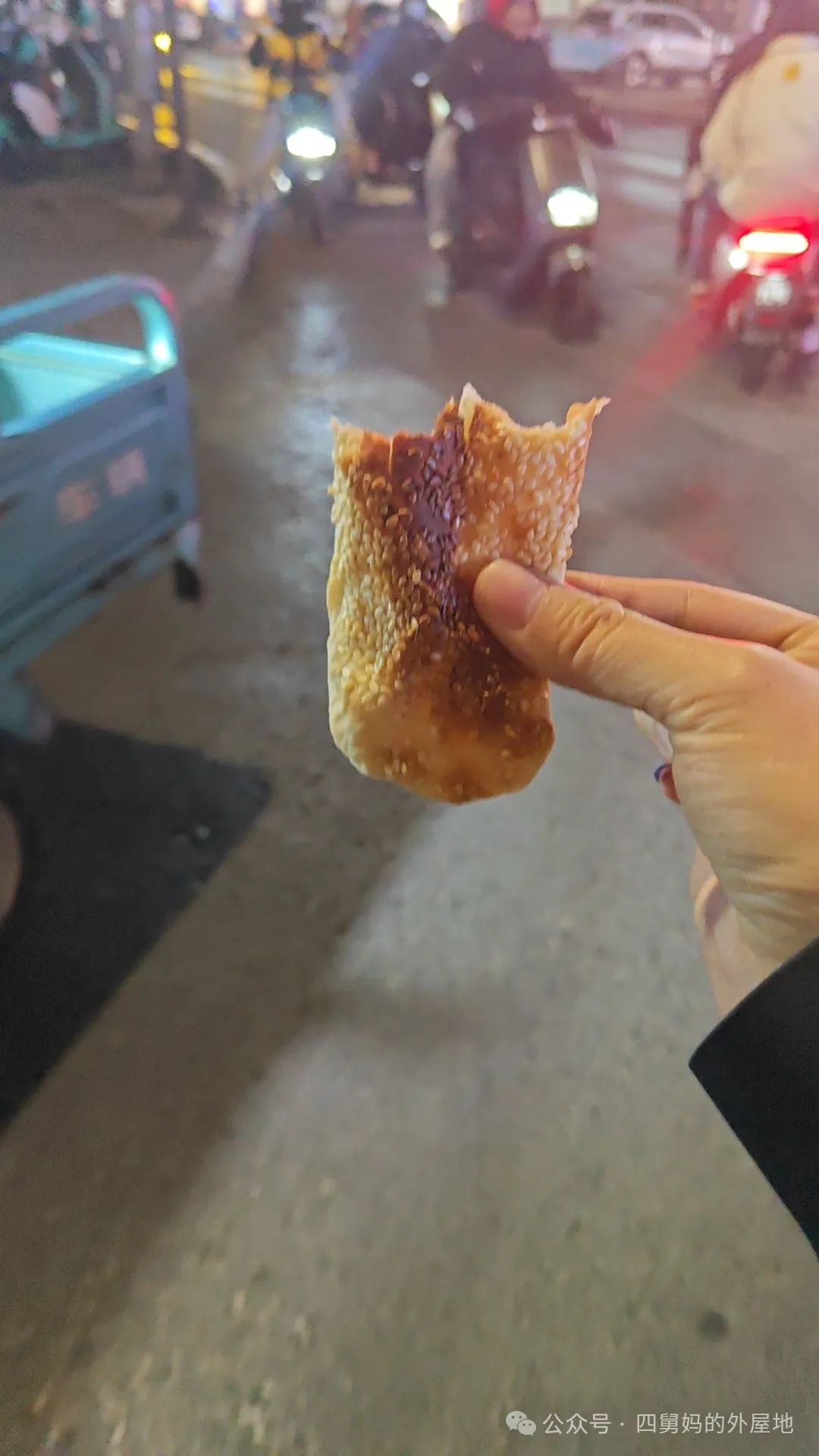 鲁菜香菜茄子视频_烧茄子香菜_茄子香菜