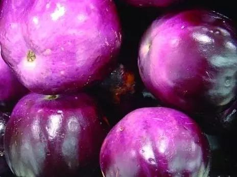 茄子香菜_茄子和香菜怎么做好吃_鲁菜香菜茄子视频