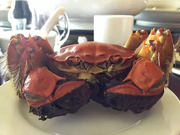 蒜蓉豆豉美味蟹_蒜蓉豆豉酱的做法大全窍门_豆豉蟹怎么做好吃