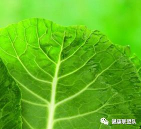 土方甲治疗法灰指甲怎么治_土法治疗灰指甲办法有哪些_土方法治疗灰指甲