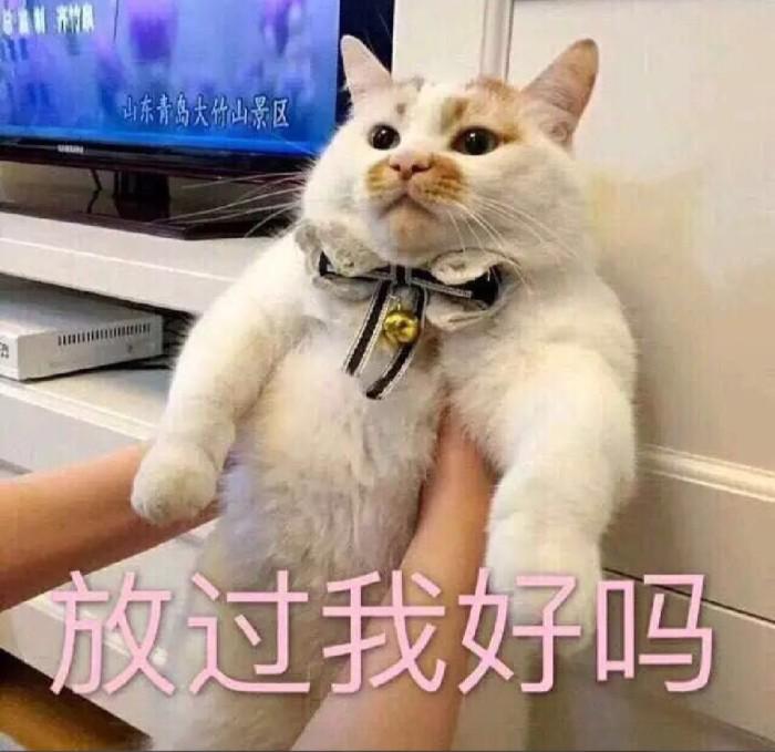 人海中我的经济适用男小说_人海中我的经济适用女_人海中我的经济适用男