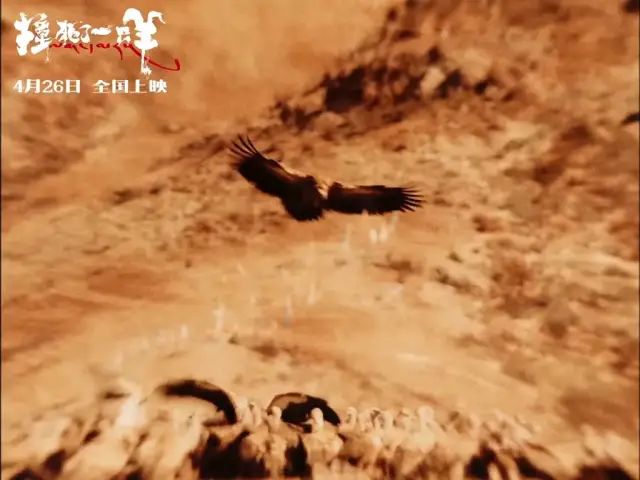 向知识分子介绍佛教 豆瓣_豆瓣佛祖是哪个组_佛教史豆瓣