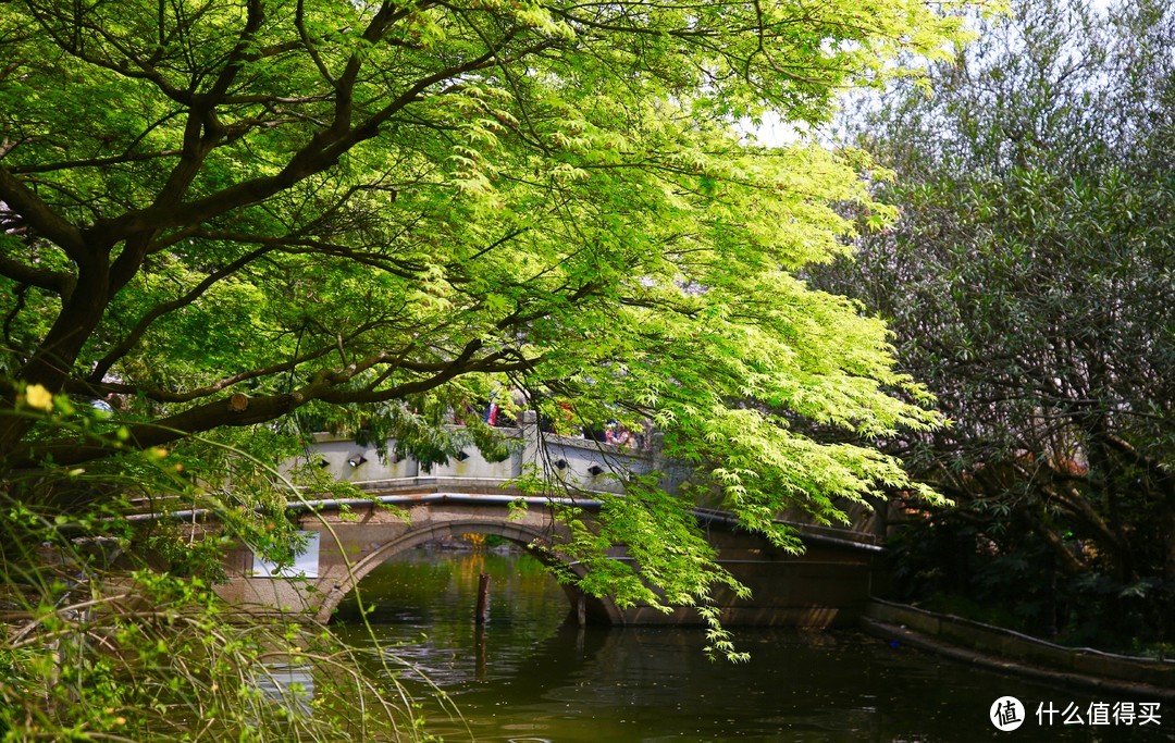 上海冷门景点推荐_上海冷门景点知乎_上海冷门游玩