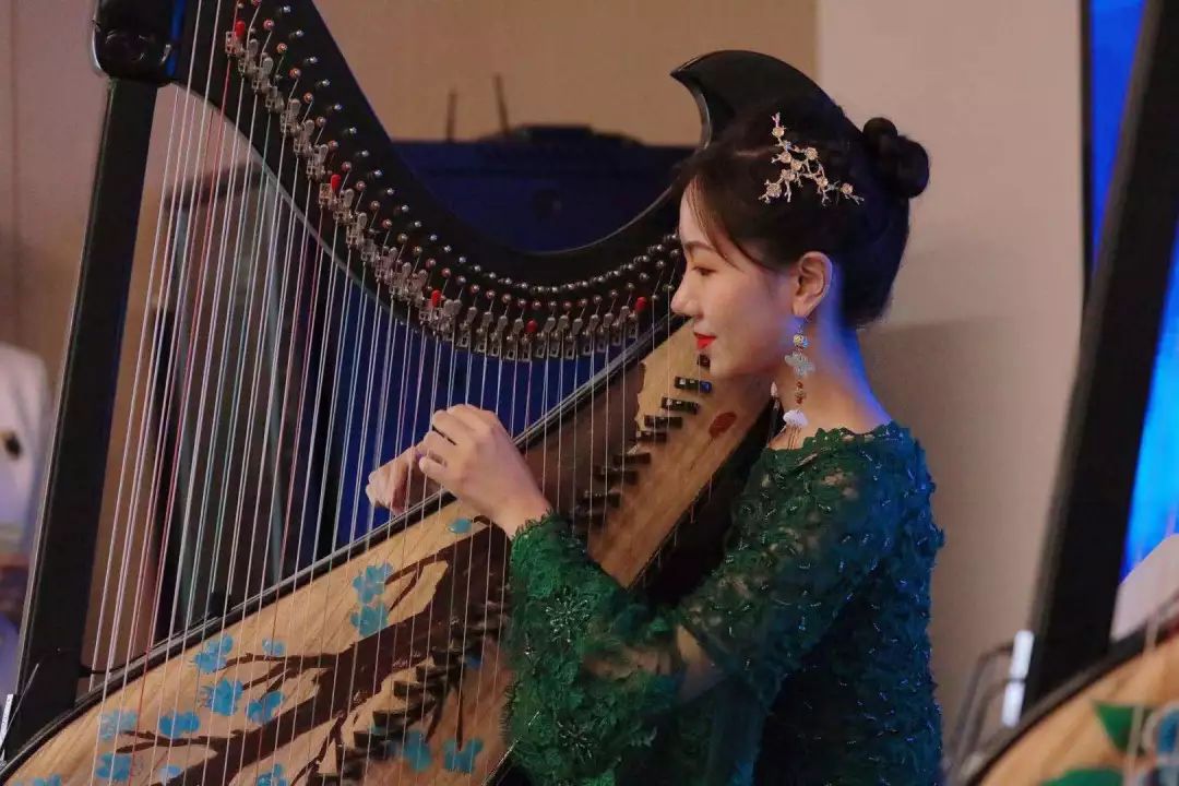 冷门的乐器哪个好学_冷门乐器演奏_冷门乐器有哪些