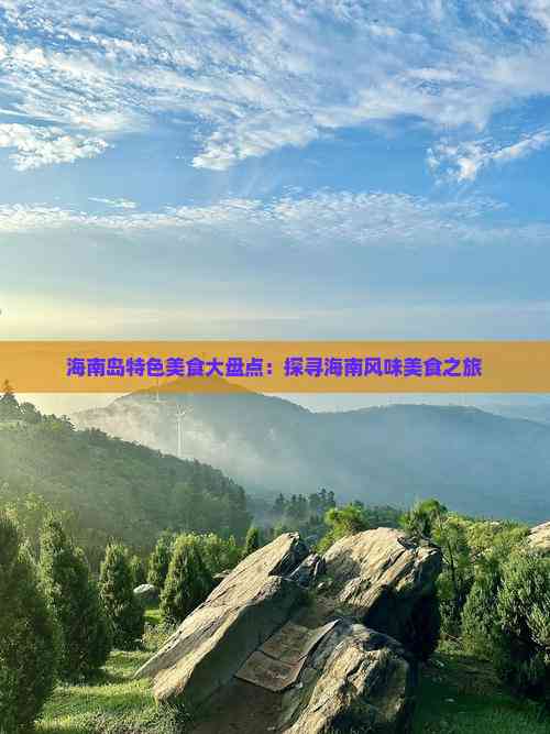 海南岛特色美食大盘点：探寻海南风味美食之旅