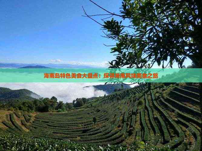 海南岛特色美食大盘点：探寻海南风味美食之旅
