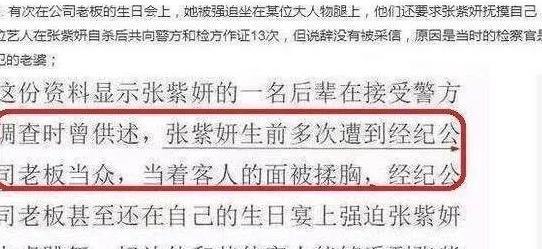 韩国娱乐圈张紫妍是哪部_韩国张紫妍是怎样服务高层的_韩国张紫妍陪四个男人
