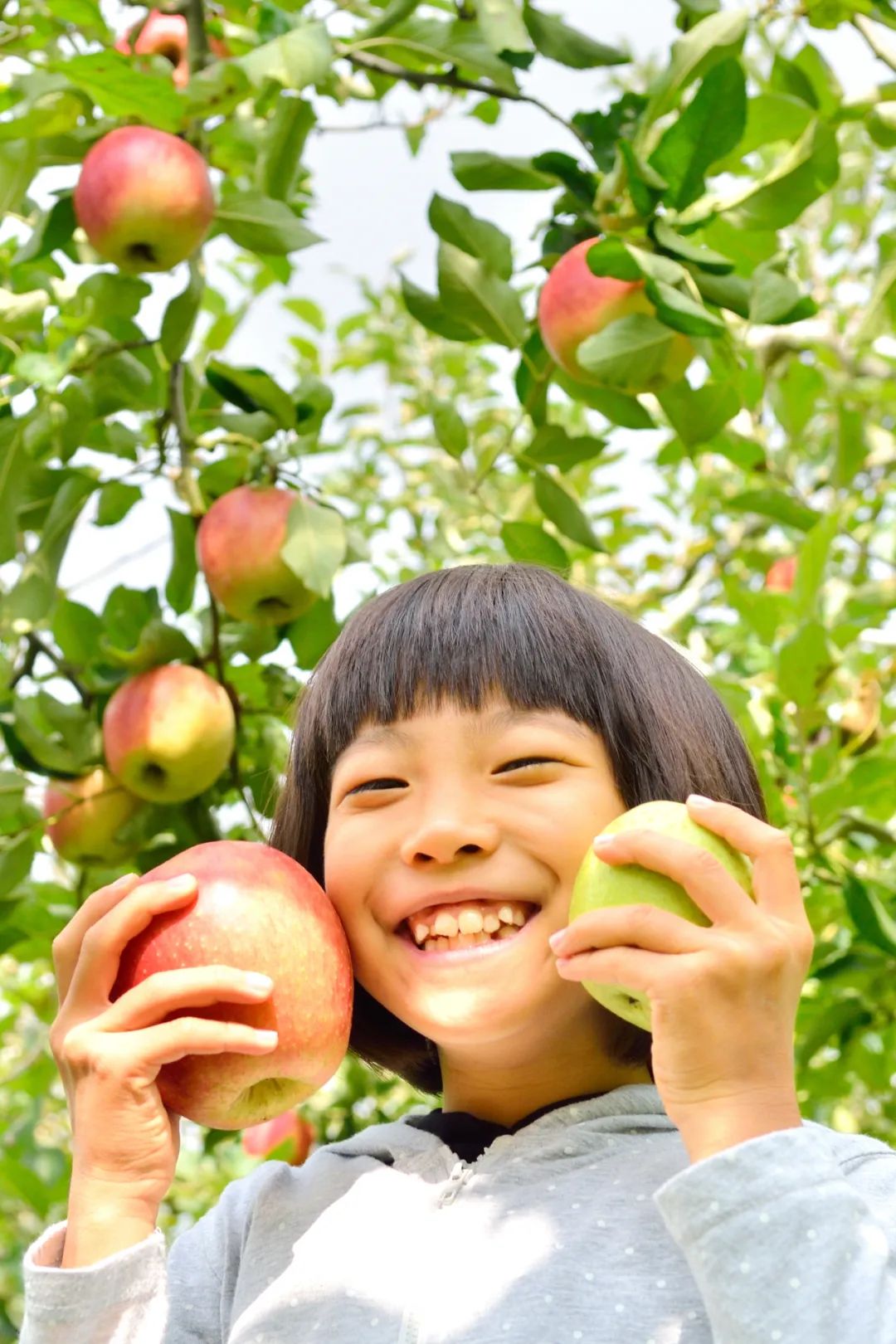 国民技术怎么样_国民技术tcm_国民技术百度百科