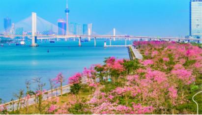 珠海红色基地教育基地在哪_珠海红色基地教育基地简介_珠海红色教育基地