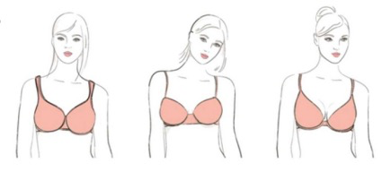 乳房图片宝宝知道_乳房图片名称_性感女性乳房图片