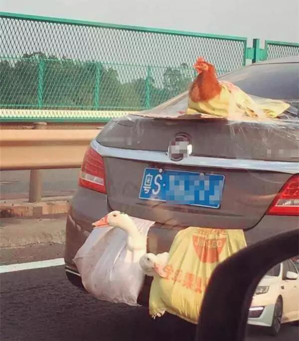 欧宝跑车敞篷车报价_欧宝敞篷怎么样_欧宝敞篷跑车报价