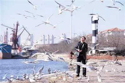 海河教育园区房管局_海河教育园区规划局_海河教育园区房产