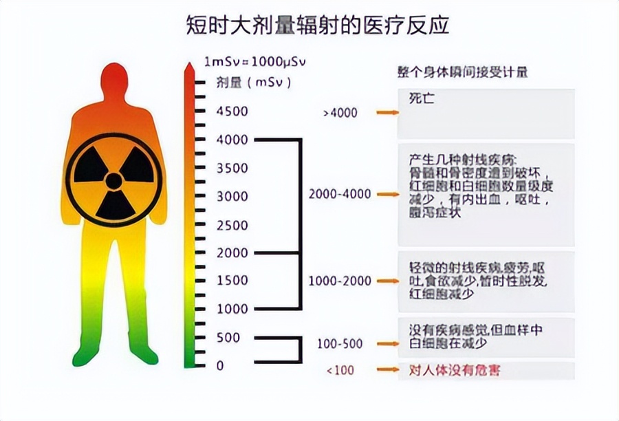 放射科患者检查须知内容_放射科患者检查须知_放射科患者检查须知事项