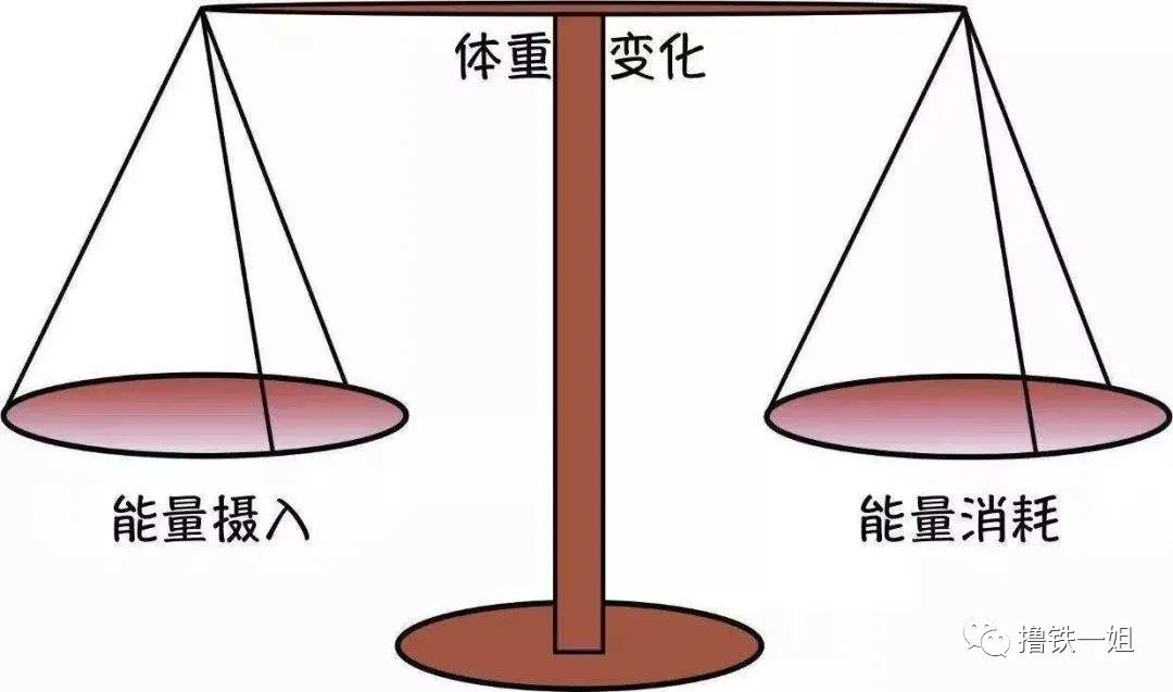 宵夜吃什么减肥_减肥宵夜吃什么不胖_减肥宵夜吃什么