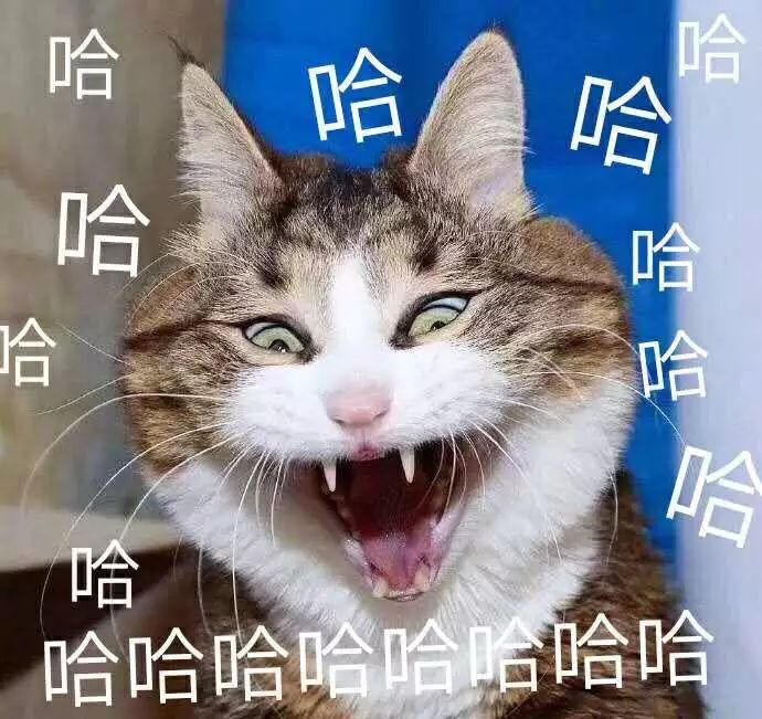 减肥宵夜吃水煮蛋_宵夜吃什么减肥_减肥宵夜吃什么不胖