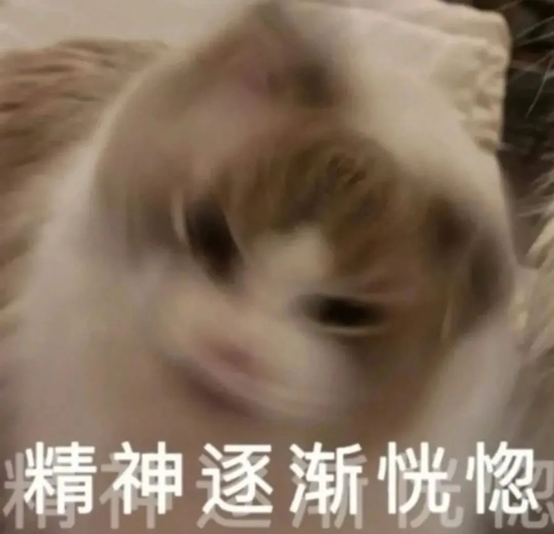 宵夜吃什么减肥_减肥宵夜吃什么_减肥宵夜吃水煮蛋