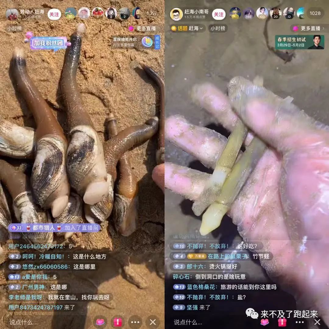 海龙海鲜坊_海龙海鲜舫 大众点评_海龙海鲜舫价目表