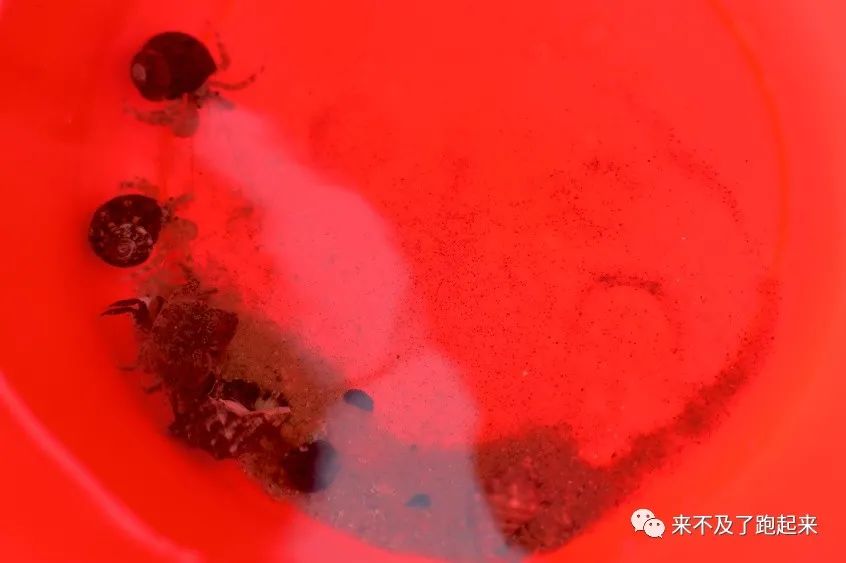 海龙海鲜舫价目表_海龙海鲜坊_海龙海鲜舫 大众点评