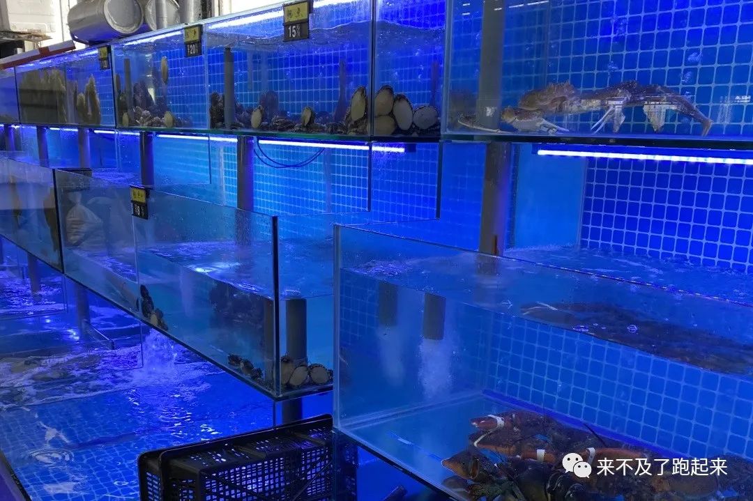 海龙海鲜舫价目表_海龙海鲜舫 大众点评_海龙海鲜坊