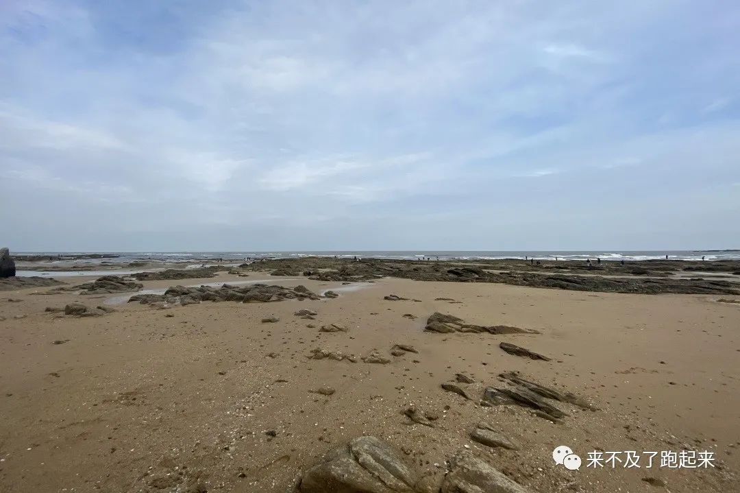 海龙海鲜舫价目表_海龙海鲜舫 大众点评_海龙海鲜坊