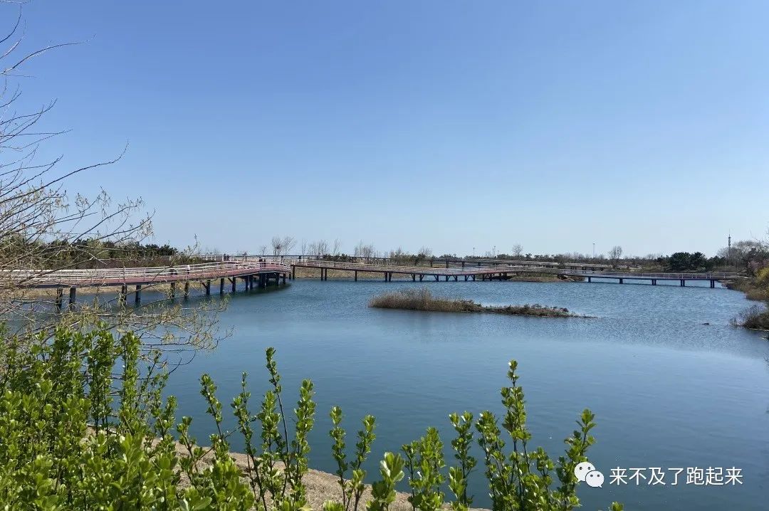 海龙海鲜舫 大众点评_海龙海鲜坊_海龙海鲜舫价目表