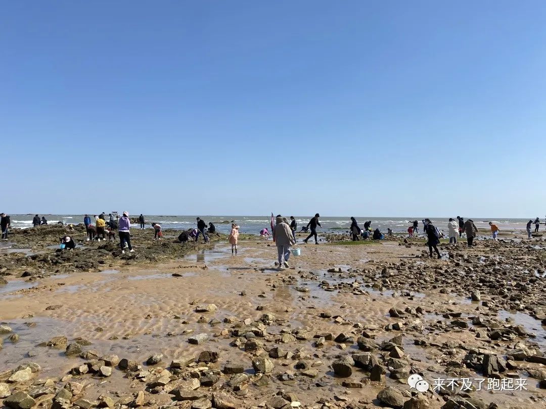 海龙海鲜舫价目表_海龙海鲜舫 大众点评_海龙海鲜坊