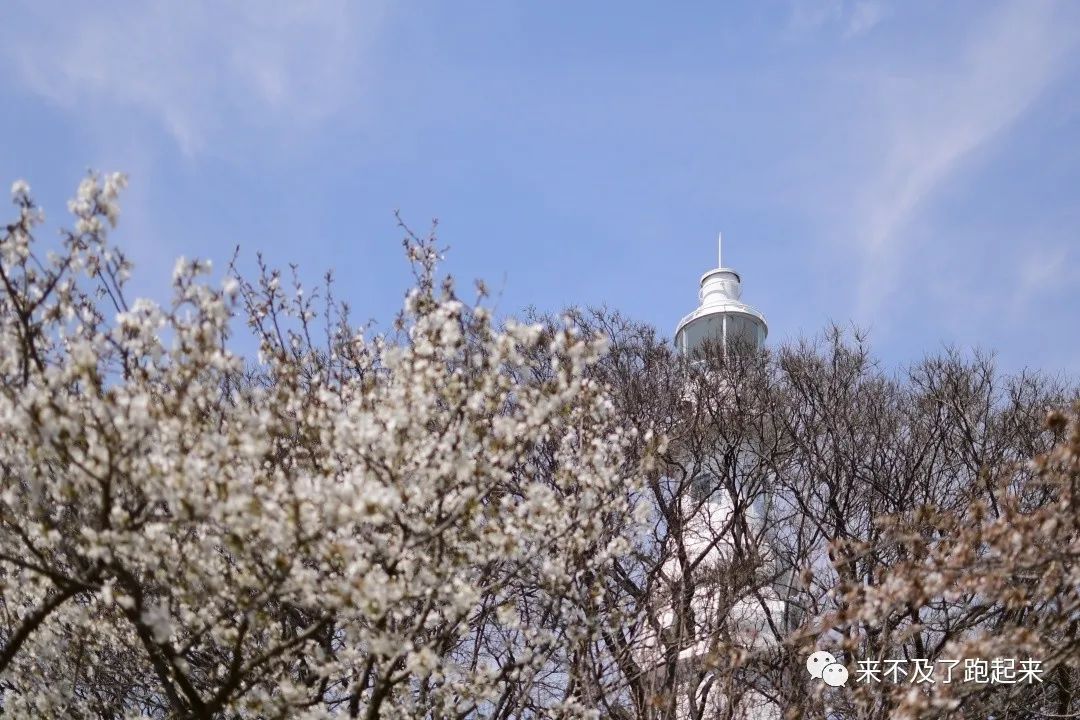 海龙海鲜舫 大众点评_海龙海鲜舫价目表_海龙海鲜坊