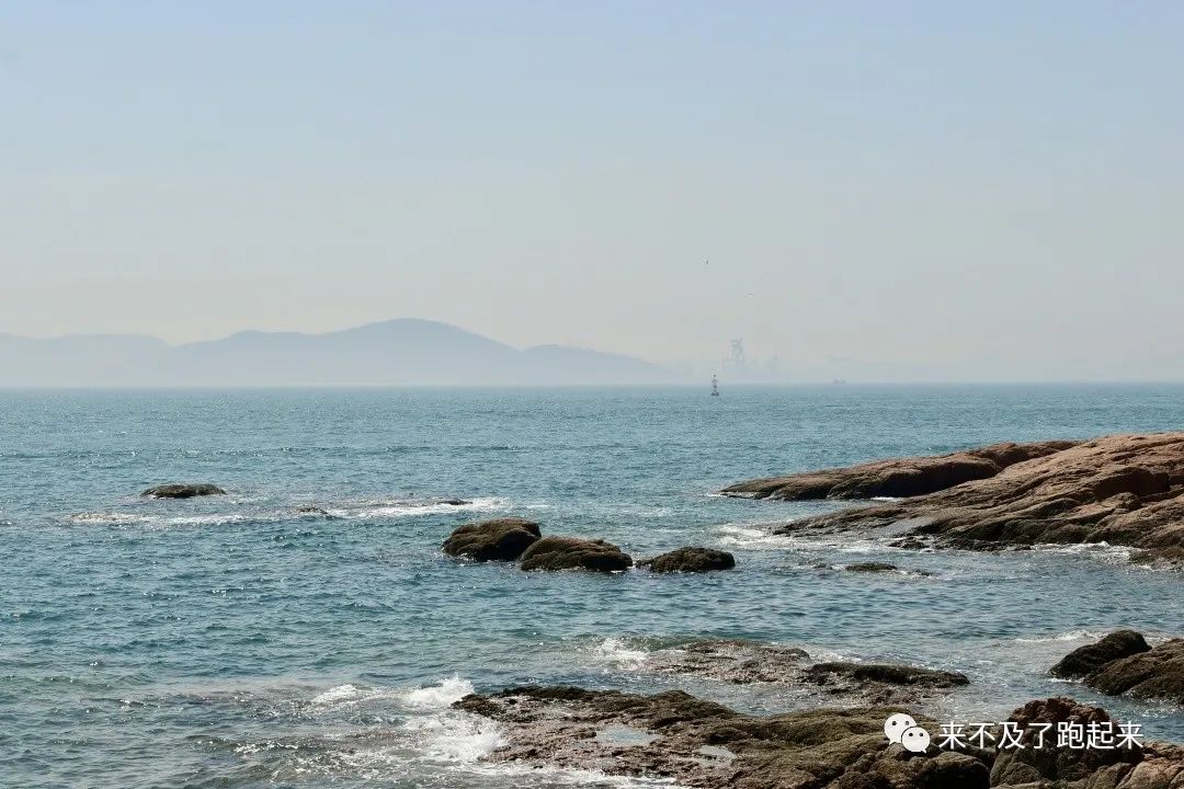 海龙海鲜舫价目表_海龙海鲜舫 大众点评_海龙海鲜坊