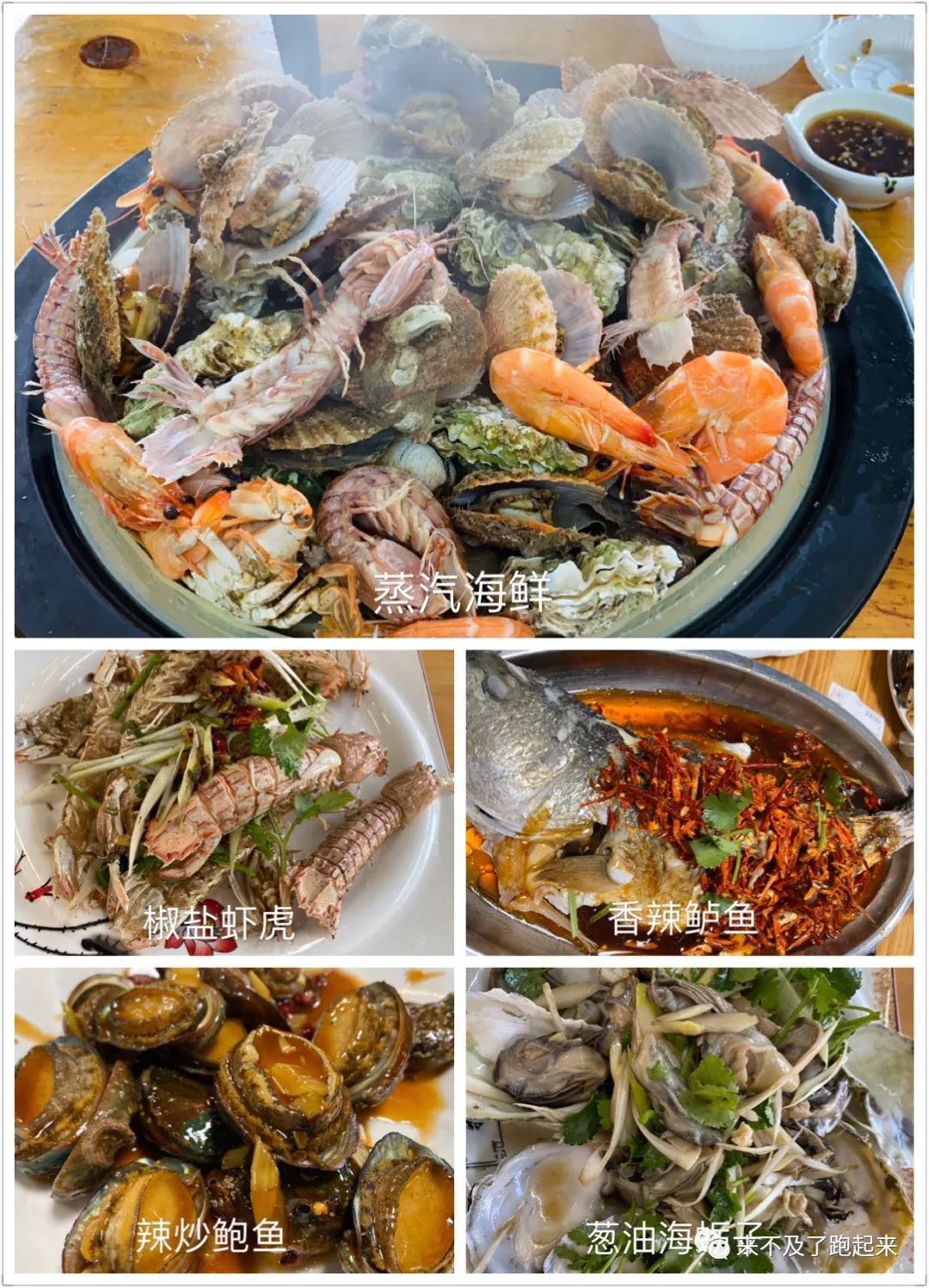 海龙海鲜坊_海龙海鲜舫 大众点评_海龙海鲜舫价目表