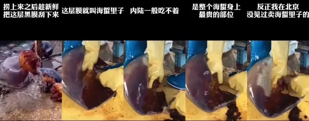 海龙海鲜舫 大众点评_海龙海鲜坊_海龙海鲜舫价目表
